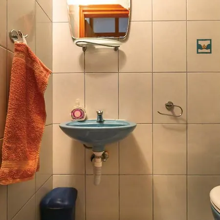 Bebic Rogotin